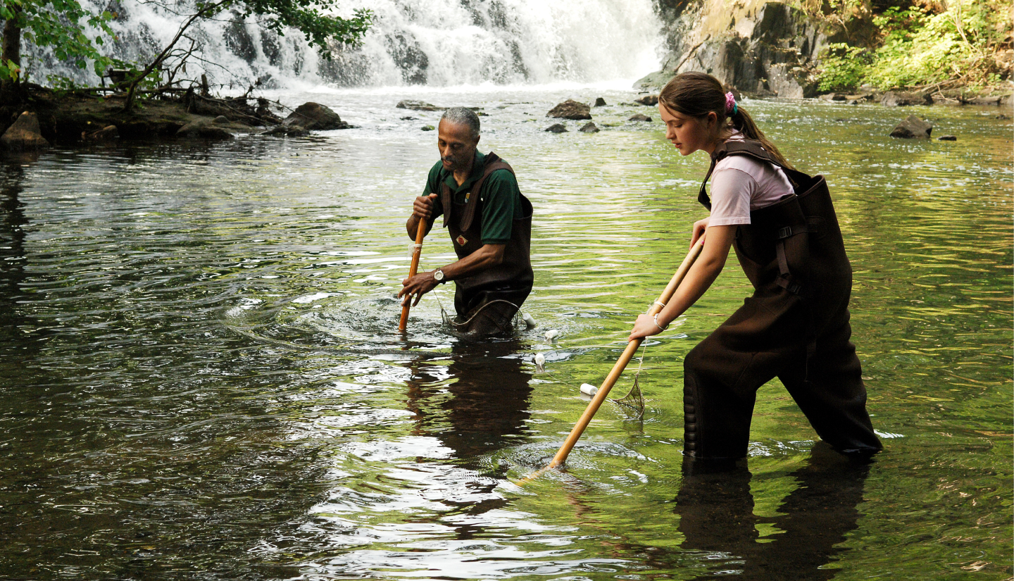 Man and girl in waders in the Bronx River finding their everyday wild